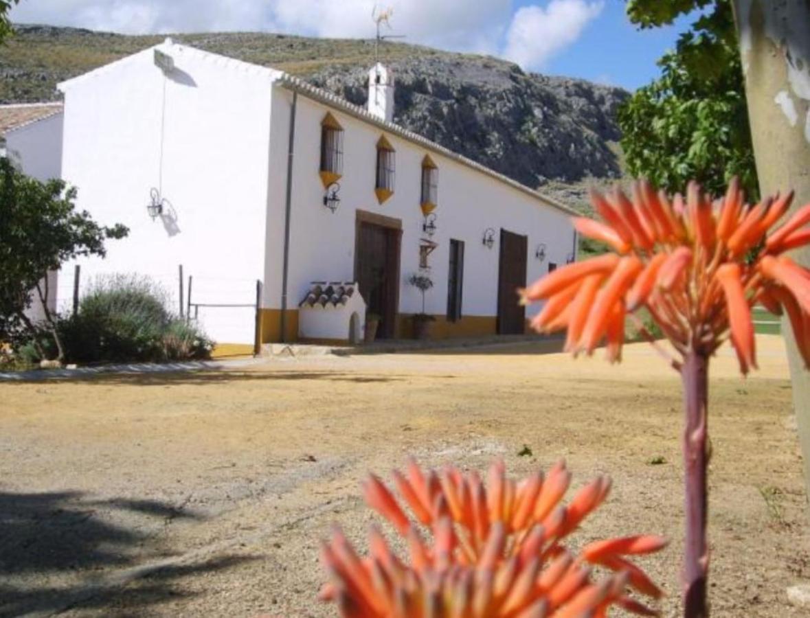 Teba Complejo Cortijo Rural El Puntalヴィラ エクステリア 写真